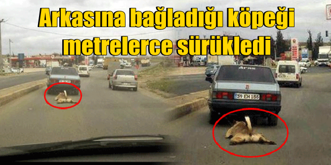 Arabasının arkasına bağladığı zavallı köpeği metrelerce sürükledi