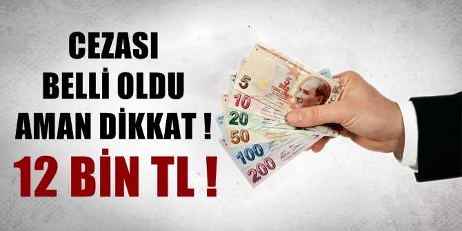 Artık cezası 12 bin TL! Cezası belli oldu
