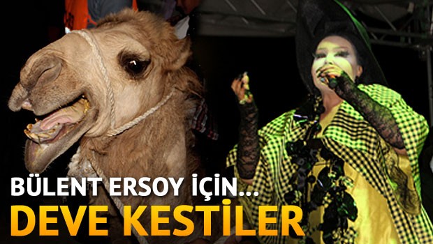 Aşiret Sünnetinde Bülent Ersoy için Deve Kestiler