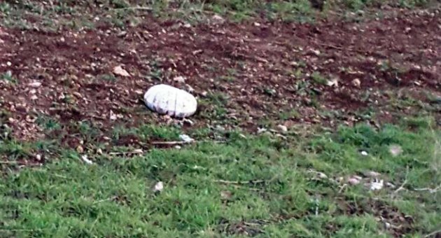 Askerin dikkati faciayı önledi