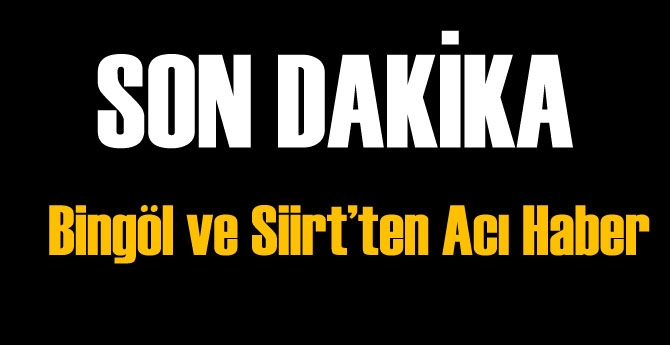 Askerlerin Üzerine Yıldırım Düştü: 1 Şehit 1 Yaralı