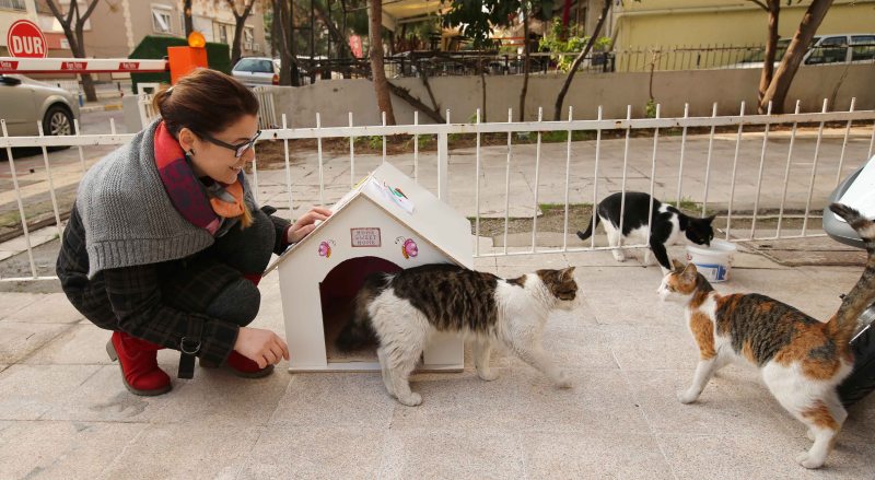 Atıklardan can dostlara kulübe yaptılar