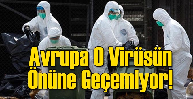 Avrupa O Virüsün Önüne Geçemiyor