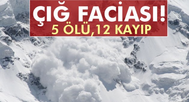 Avusturya'da çığ faciası: 5 ölü, 12 kayıp