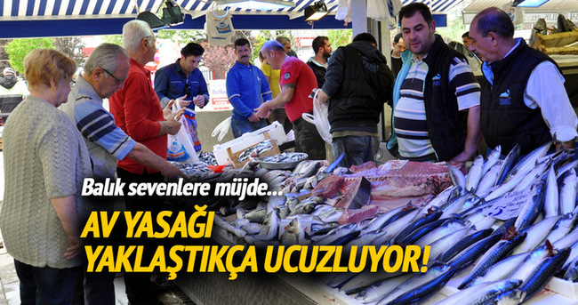 Av yasağının başlamasına az bir süre kala balık ucuzladı!