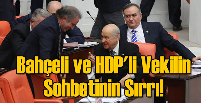 Bahçeli ve HDP'li Vekilin Sohbetinin Sırrı!