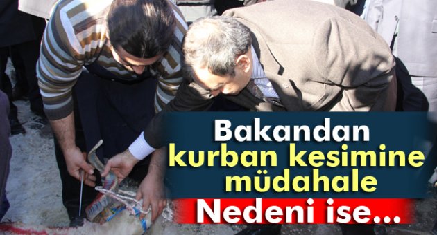Bakan Eroğlu şehitlik açılışında kurbanın kesilmesine izin vermedi