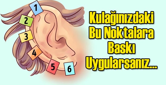 Bakın kulaklarınız sizin hakkınızda ne söylüyor?