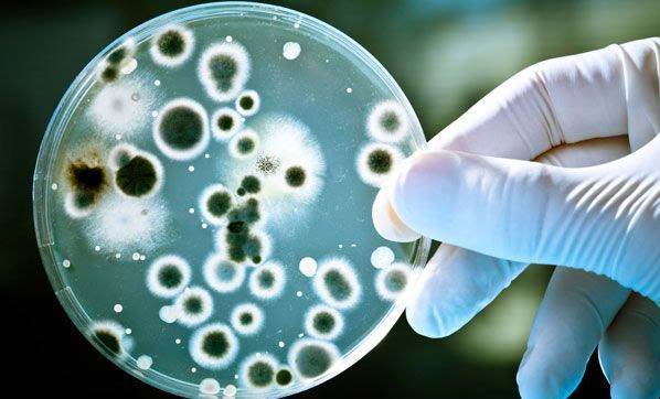 Bakteriden ölümler meme kanserini solladı