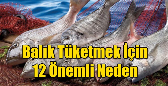 Balık Tüketmek İçin 12 Önemli Neden