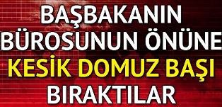 Başbakanlık Bürosunun Önüne Kesik Domuz Kafası Bıraktılar!