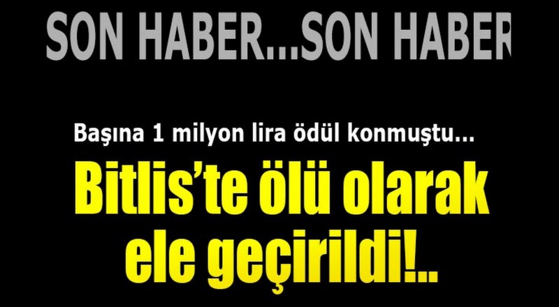 Başına 1 milyon lira ödül konmuştu... Ölü olarak ele geçirildi