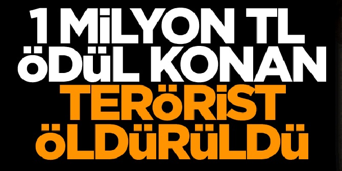 Başına 1 Milyon TL konulan terörist öldürüldü
