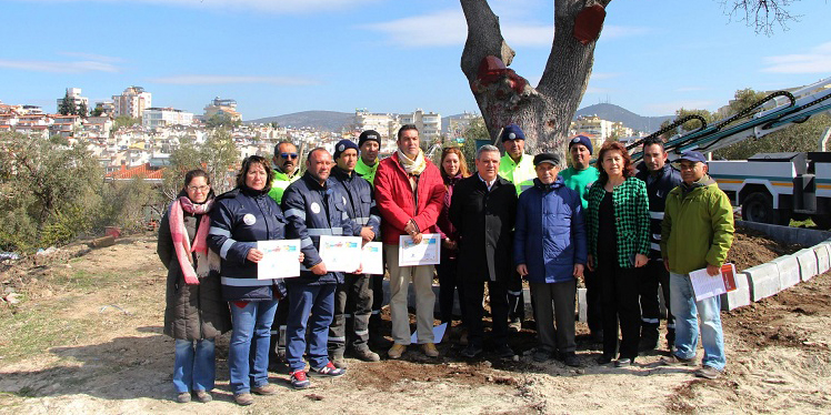 BAŞKAN KAYALI ANIT AĞAÇ RESTORASYONUNU İNCELEDİ
