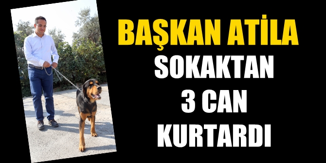 Başkan Olgun Atila sokaktan 3 can kurtardı