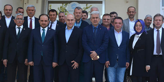 Baybatur’dan zeytine primde yeşil ışık