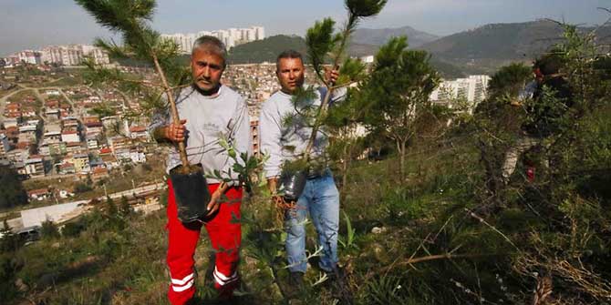 Bayraklı’da ağaçlandırma çalışması