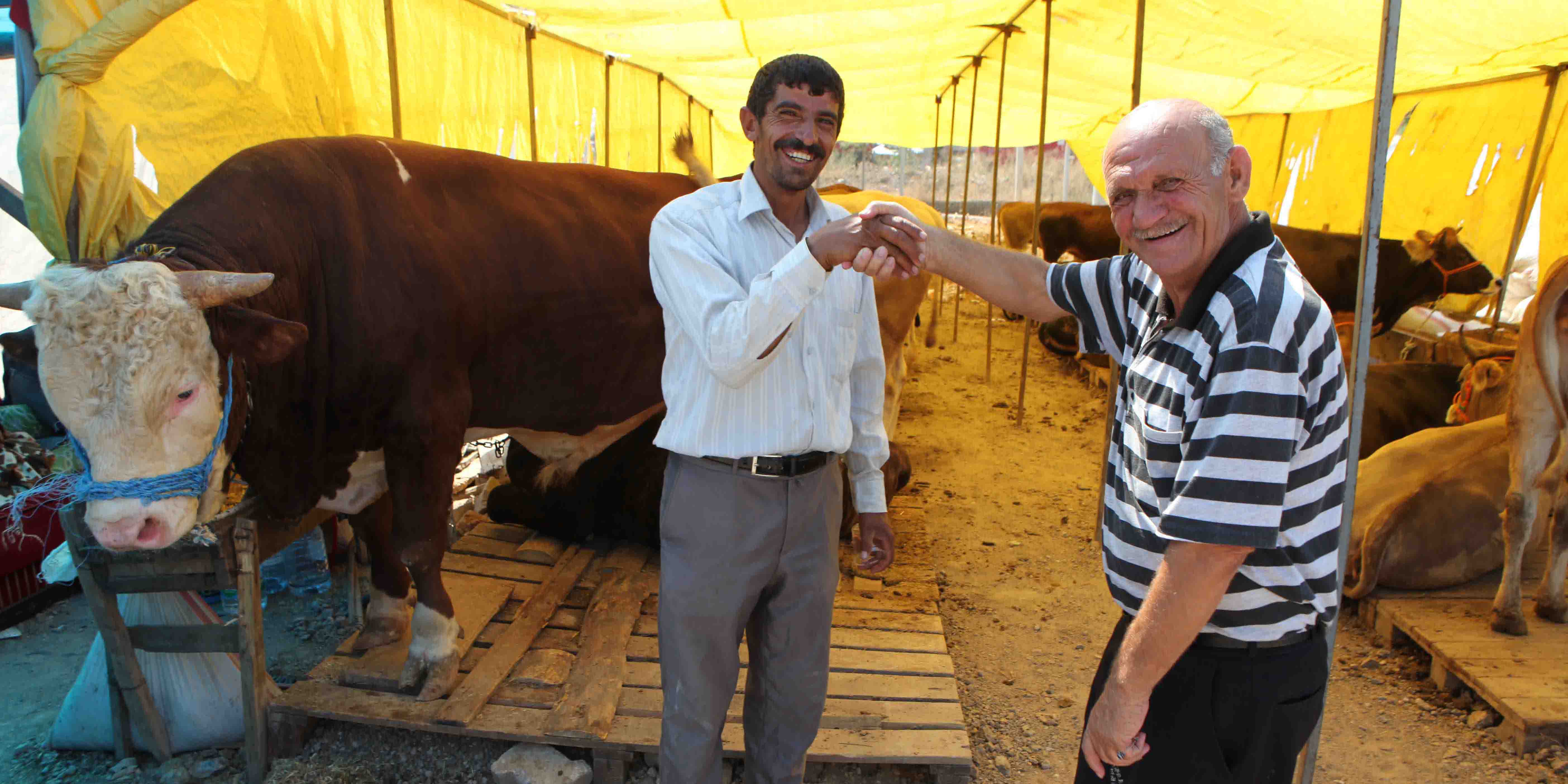 Bayraklı, Kurban Bayramı'na hazır