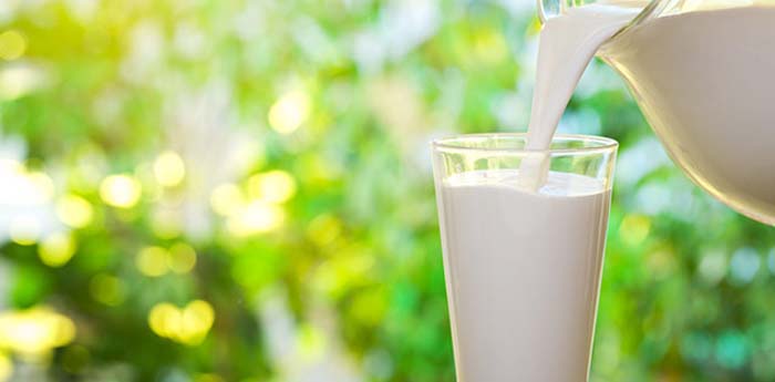 Bayraktar'dan Sütte Girdi Fiyatı Önerisi