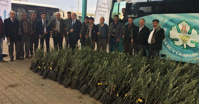 Bereketin Sembolü Ahmetli Topraklarında