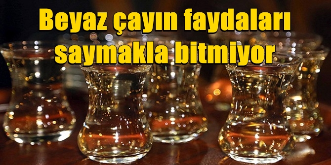 Beyaz çayın faydaları saymakla bitmiyor