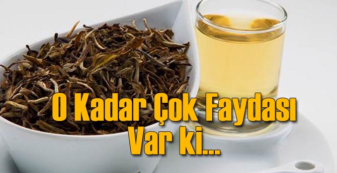 Beyaz Çayın İnanılmaz Faydaları