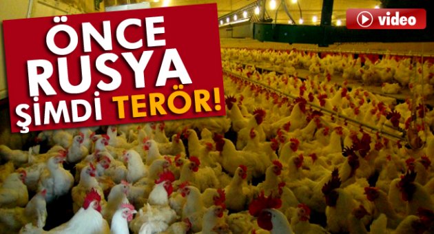 Beyaz et ihracatına terör darbesi