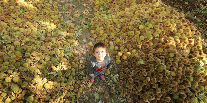 Beydağ İzmir'in Kestanesini Çıkartıyor