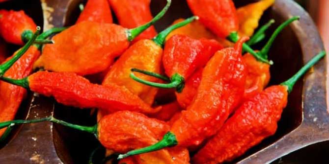 Bir Çay Kaşığıyla Kiloları Yakıyor!