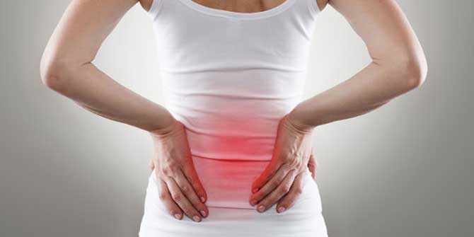 Böbreklerin Tedavi Edilmesinde Yararı Büyük