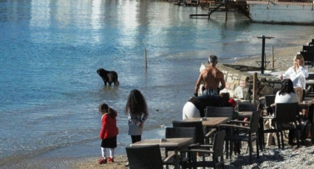 Bodrum’a kış gelmedi