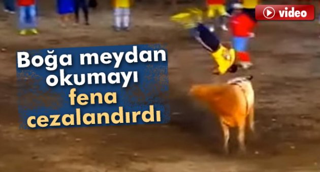 Boğa meydan okumayı fena cezalandırdı