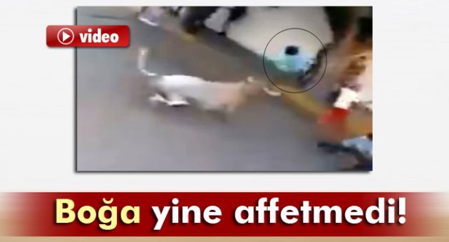 Boğa yine affetmedi!