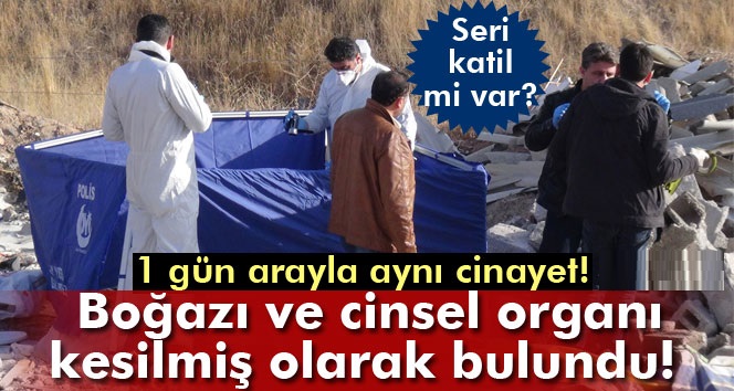 Boğazı ve cinsel organı kesilmiş olarak bulundu