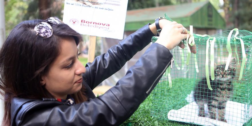 Bornova’da sokak hayvanlarına sıcak yuva