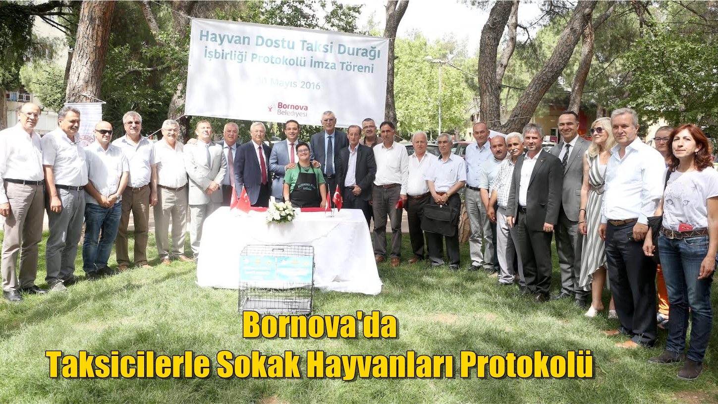 Bornova'da Taksicilerle Sokak Hayvanları Protokolü