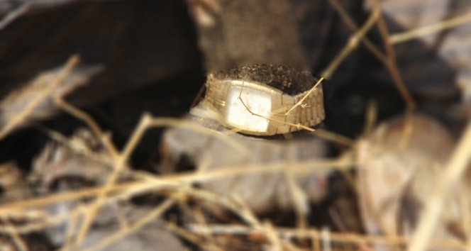 Boş arsada çürümüş erkek cesedi bulundu!