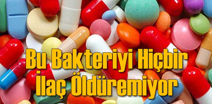 Bu Bakteriyi Hiçbir İlaç Öldüremiyor!