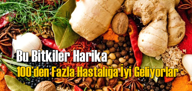 Bu Bitkiler 100'den Fazla Hastalığa Deva
