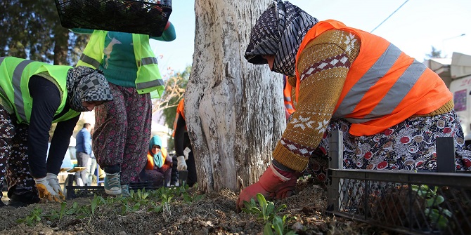 Buca çiçek bahçesine dönüşüyor