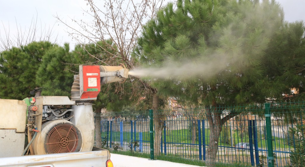 Buca’da çam kese böceği ile mücadele başladı