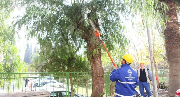 Budanan dallar Dost Market’te iyiliğe dönüşüyor