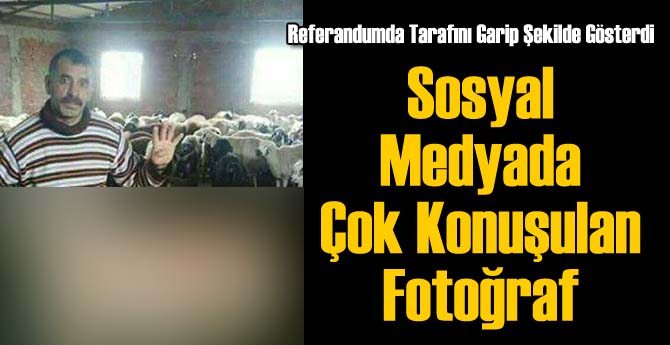 Bu Fotoğraf Sosyal Medyayı Yıktı Geçti