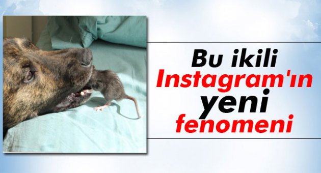 Bu ikili Instagram'ın yeni fenomeni