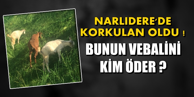 Bunun vebalini kim öder? Narlıdere'de korkulan oldu