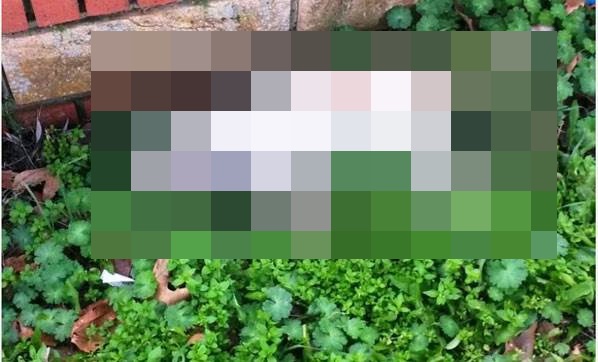 Bunu yapan insan olamaz!