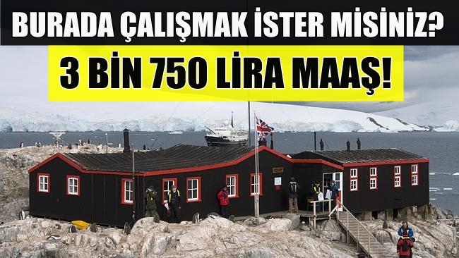 Bu postane işçi arıyor! Tam 3 bin 750 lira maaş!