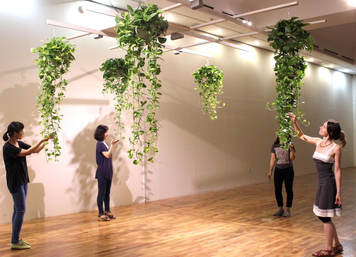 Bu sergideki bitkiler müzik ziyafeti sunuyor