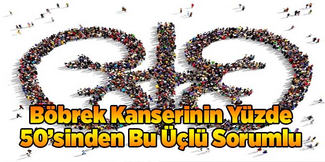 Bu Üçlü Böbrek Kanserinin Yüzde 50'sinden Sorumlu!