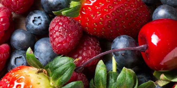 Bu Yiyecekler Zeka Gelişimine İyi Geliyor